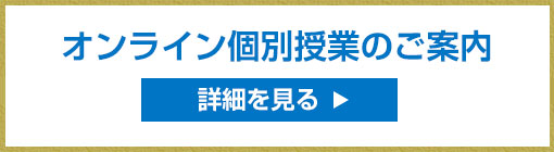 オンライン個別授業のご案内