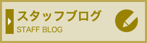 スタッフブログ